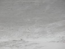 cold sand beach grey track tracks dunes white grey