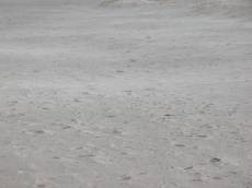 grounds sand beach fine