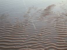 sand beach water tide wet