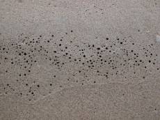 sand beach holes closeup grains