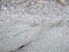 tabus grounds frozen winter leaves mud