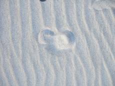 tabus footprint sand white