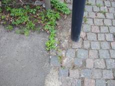 tabus pavement sidewalk ground pole plants bricks stones