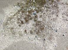 tabus road shards tarmac