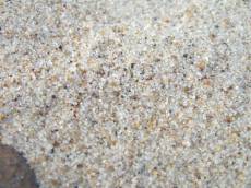 tabus texture grounds sand macro sandgrains