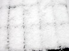 fence winter snow textures grounds elements nature pattern white