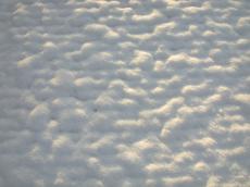 snow cold blanket crisp white bump bumped sun ray rays winter winter's day