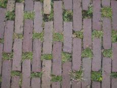 stone stones brick green grass  knoll knolls tuft tufts