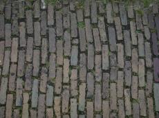 grounds street brick bricks texture pattern road path grass rectangle rectangles