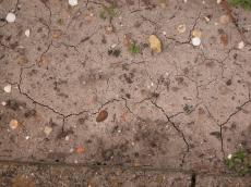 grounds dried earth dirt cracked cracks ground
