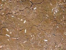 brown dried cracked earth mud dry