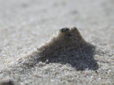 smal sand heap volcano grains