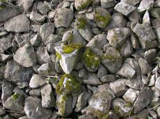 grounds rock rocks texture moss pebbles