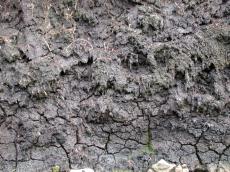 wet blurry mud earth soil