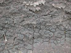 ground mud earth sand grey