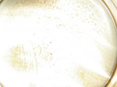 caustics caustic reflection water glasswaves rings