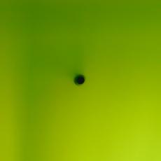 green wall neon plastic neon