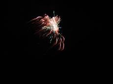 sallie_richardson fireworks bright celebration 
