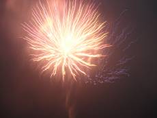 sallie_richardson fireworks celebration