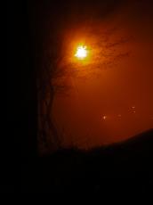 night lightfx lighteffects nature elements fog orange lamppost light lights road silhouette