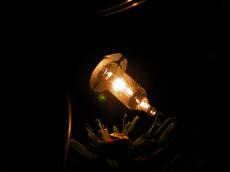 christmas light decorationt yellow glow