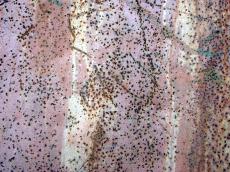 metal rust dot dotted texture