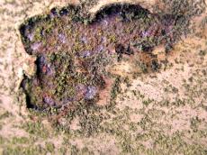 rust erosion eroded weathered metal