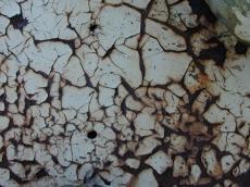 burst chip chop cleave crackle crash damage  fracture iron rust paint