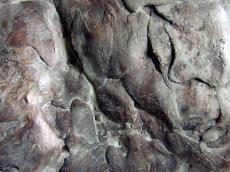 bronze sculpture texture closeup metal brown