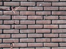 wall brickwall brick bricks pattern texture red rectangles masonry
