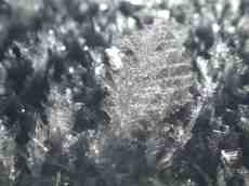 nature crystals snow snowflakes ice winter macro