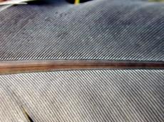 feather texture bird arrow