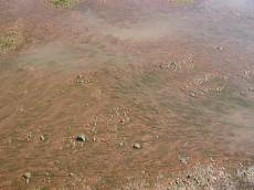 water beach river texture grounds clay