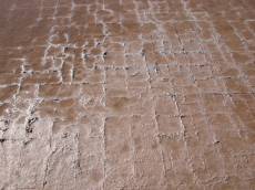 nature salt saltfarm grid salty