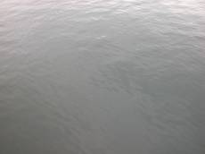 nature elements water sea texture waves fine ocean