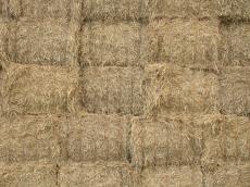 straw straws bale of hay bail rough brown stack stacks mowed