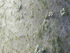 polyester plasic texture structure