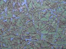 polyester plastic dirty cracks