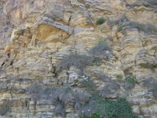 texture rock yellow coarse overgrown cliff nature