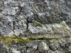 rock wall texture sand ground grounds dirt layer layers