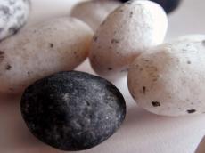 rock objects textures white black stone pebbles pebble candy sweets