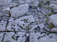 grey basalt stone rock slab coast