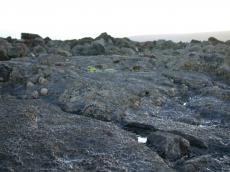 rock black coast boulders