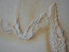 walls texture moist fungus chalk