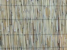 canes reed thatch rush