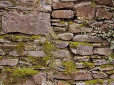 wall bricks chaotic moss plant rocks