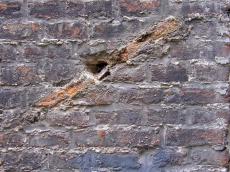 wall brick texture pattern