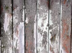 wood weathered paint painted texture pattern nail plank white