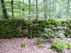 tabus wood moss covered stone boulders