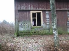 tabus house shed abandoned derelict wood planks countryside